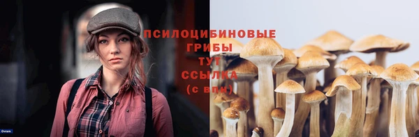 гидропоника Елизово