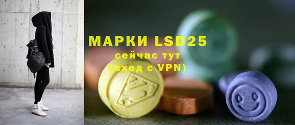 2c-b Ельня