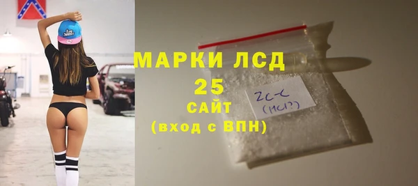 2c-b Ельня