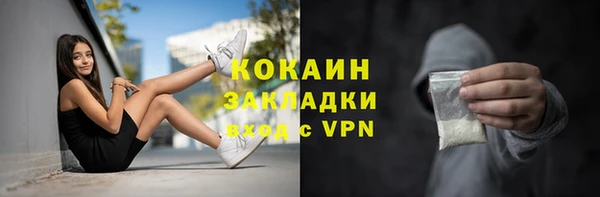 2c-b Ельня