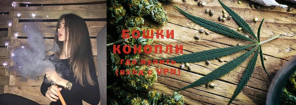 гидропоника Елизово