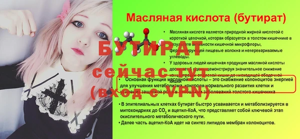 2c-b Ельня