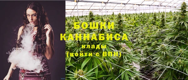 2c-b Ельня