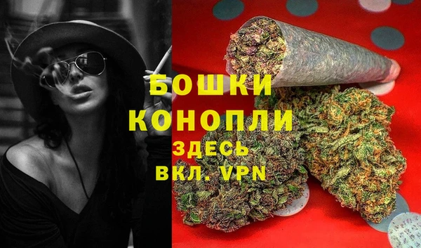 2c-b Ельня
