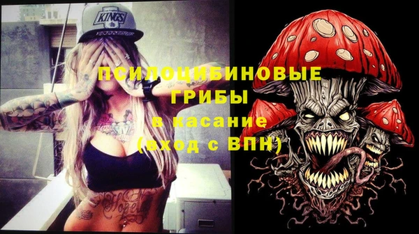 2c-b Ельня