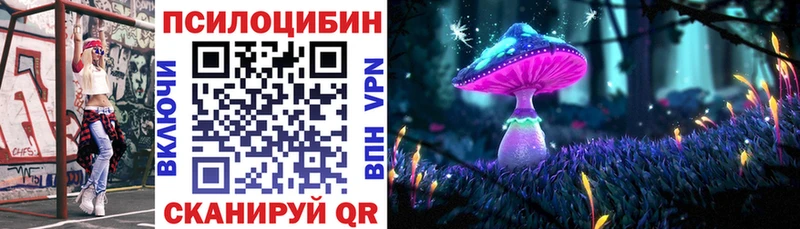 Купить  Качканар  Псилоцибиновые грибы MAGIC MUSHROOMS 