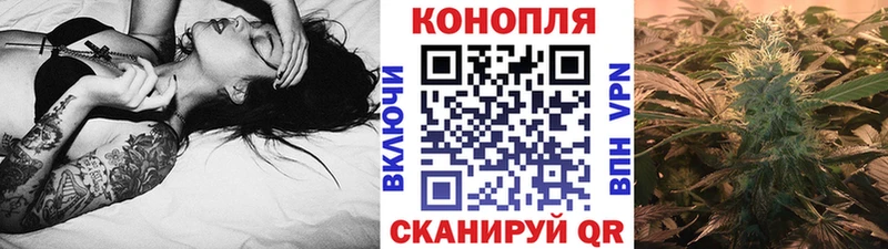 Купить закладки  Качканар  Каннабис AK-47 